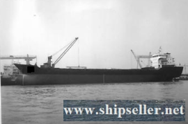 11000DWT MPP