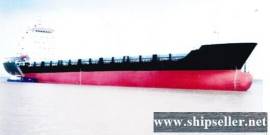 12000DWT 713TEU MPP