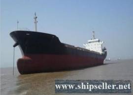13800DWT Double bottom single hull bulk carrier