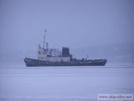 156. Rescuer tug
