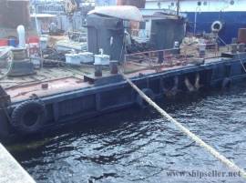 159. Not self-propelled Floating crane – 100 t.