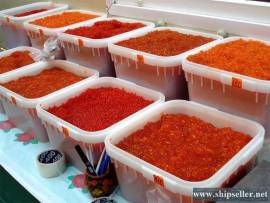 200. Ready Business - fish processing plant on Kamchatka (Russian Far 