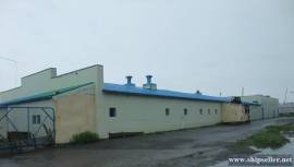 200. Ready Business - fish processing plant on Kamchatka (Russian Far 