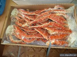 200. Ready Business - fish processing plant on Kamchatka (Russian Far 