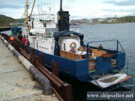217. Pleasure boat SChS-225 ?