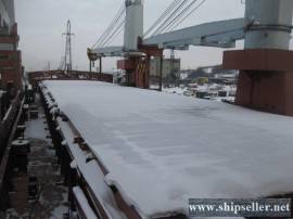 287 . Multifunctional geared cargo vessel 4200 t.