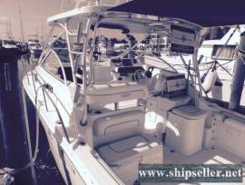30' Wellcraft 290