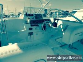 30' Wellcraft 290