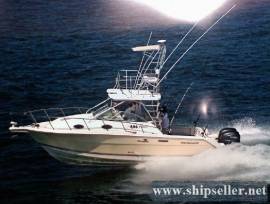 30' Wellcraft 290