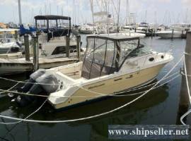 30' Wellcraft 290