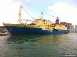 317PAX RORO FOR SALE