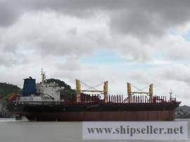 31800 bulk carrier, log carrier