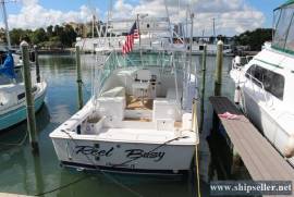32' Luhrs Open Express with Tower 1999
