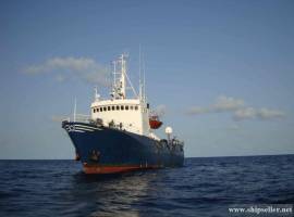 364. Offshore multipurpose DP utility vessel