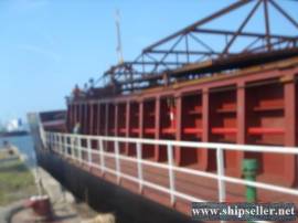 4000DWT self unloading carrier for sale