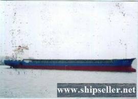4253 DWT MPP