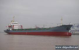 5000DWT/265TEU Container Vessel