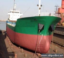 5065DWT/276TEU container vessel
