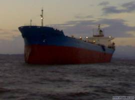 63200 DWT  BULK CARRIER for sale