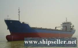 7380DWT 349TEU MPP