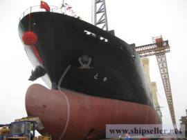 8000DWT/626TEU  MPP FOR SALE.