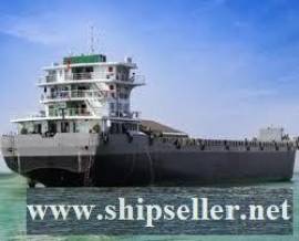 Cargo Containers heavy cargo for sale 14400 DWT New Multi Purpose Dry 