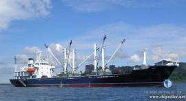 REF402/REEFER/1992-09/3606.18CBM/ BUYERS OFFER