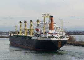Sell Bulkcarrier built_in 1984 29679 DWT, LOA 182 mt