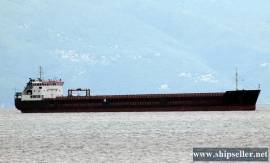 SHALLOW DRAFTED SEA-RIVER MPP FOR SALE