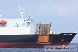 Small 4,339 DWAT Pure Car Carrier Ro Ro Vehicle Carrier
