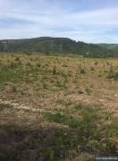 Special offer for investor 12,300 m2 of land for sale