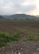 Special offer for investor 12,300 m2 of land for sale