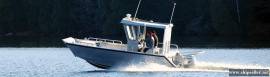 The SUV-Pickup Truck of Boats!  NEW Stanley Pulsecraft Landing Craft