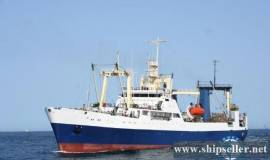 TRA058 FACTORY PELAGIC FREEZER TRAWLER