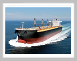 Bulk Carrier Vessels